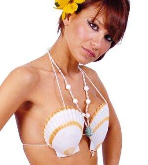 Reggiseno conchiglia hawaiana