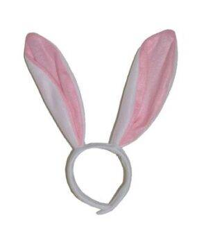 Orecchie coniglio bunny