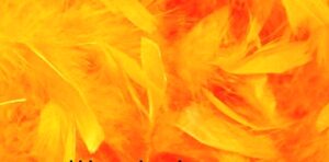 Boa arancio 2mt