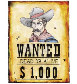 Poster wanted 38x50 cm
