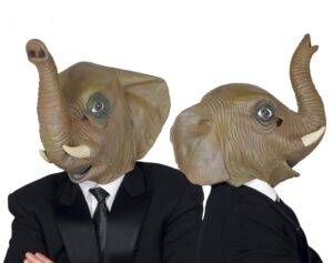 Maschera elefante