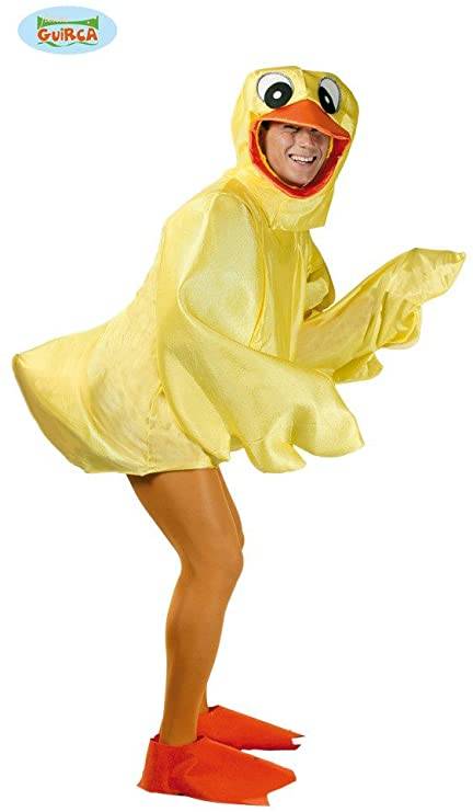 Vestito on sale carnevale paperina