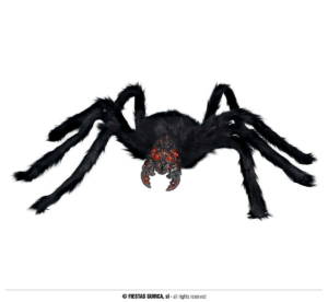 Ragno 100 cm