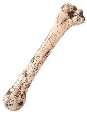Osso 34 cm