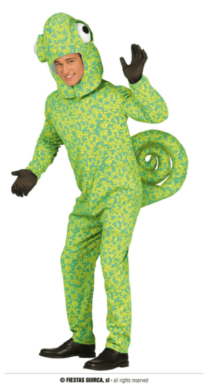 Vestito camaleonte
