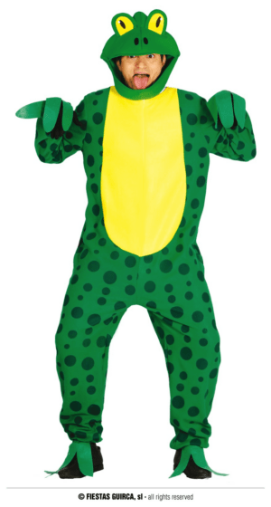 Vestito da rana