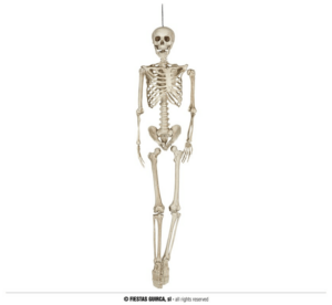 Scheletro modellabile160 cm