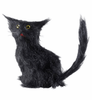 Gatto nero cm12