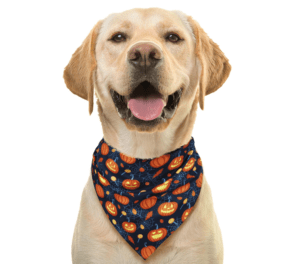 Bandana zucche per animali domestici