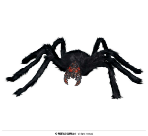 Ragno 100 cm