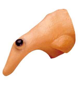 Naso da strega