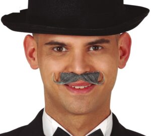 Baffi imperiali grigi