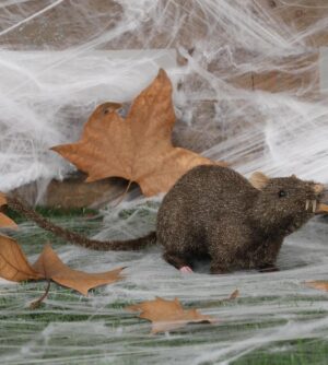 Ratto topo 25 cm - decorazione halloween