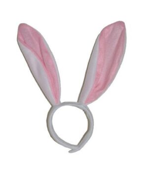 Orecchie coniglio bunny