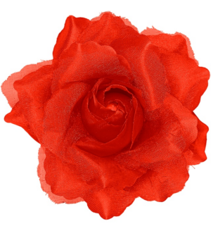 Rosa rossa per capelli