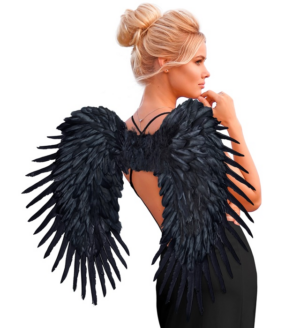 Ali piumate nere 80x65 cm
