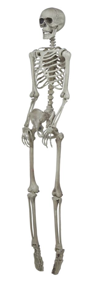 Scheletro modellabile160 cm