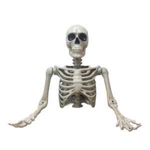 Scheletro Busto articolato 104 cm per esterni