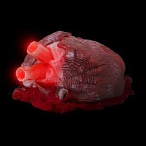 Automa Cuore umano animato e pulsante per Halloween